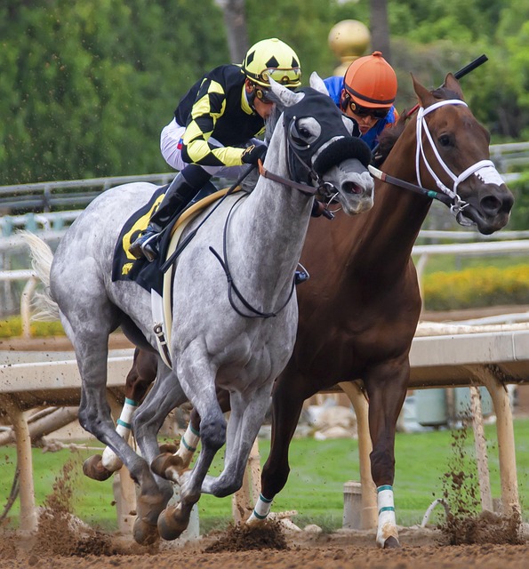 整个团队的 整个团队的