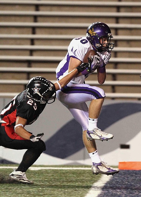 的最直观展 的最直观展