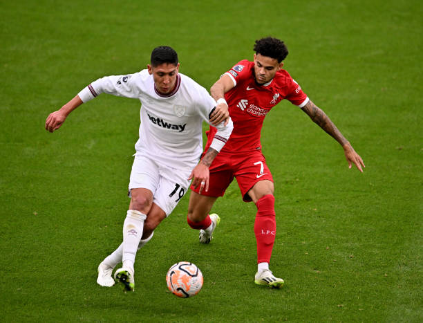 落选并不是 落选并不是