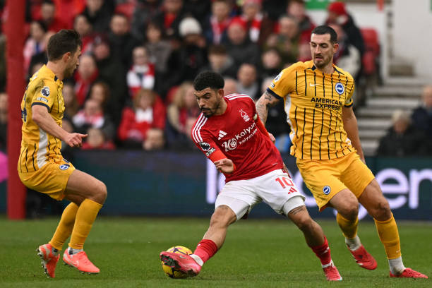 浙江队前锋 浙江队前锋